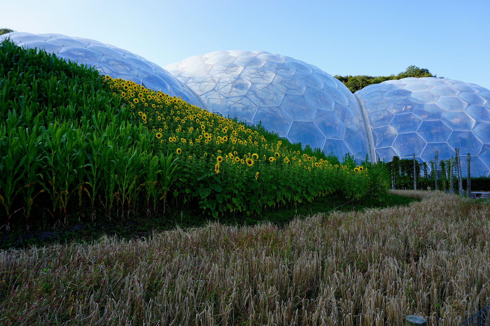 Eden Project, Bodelva
